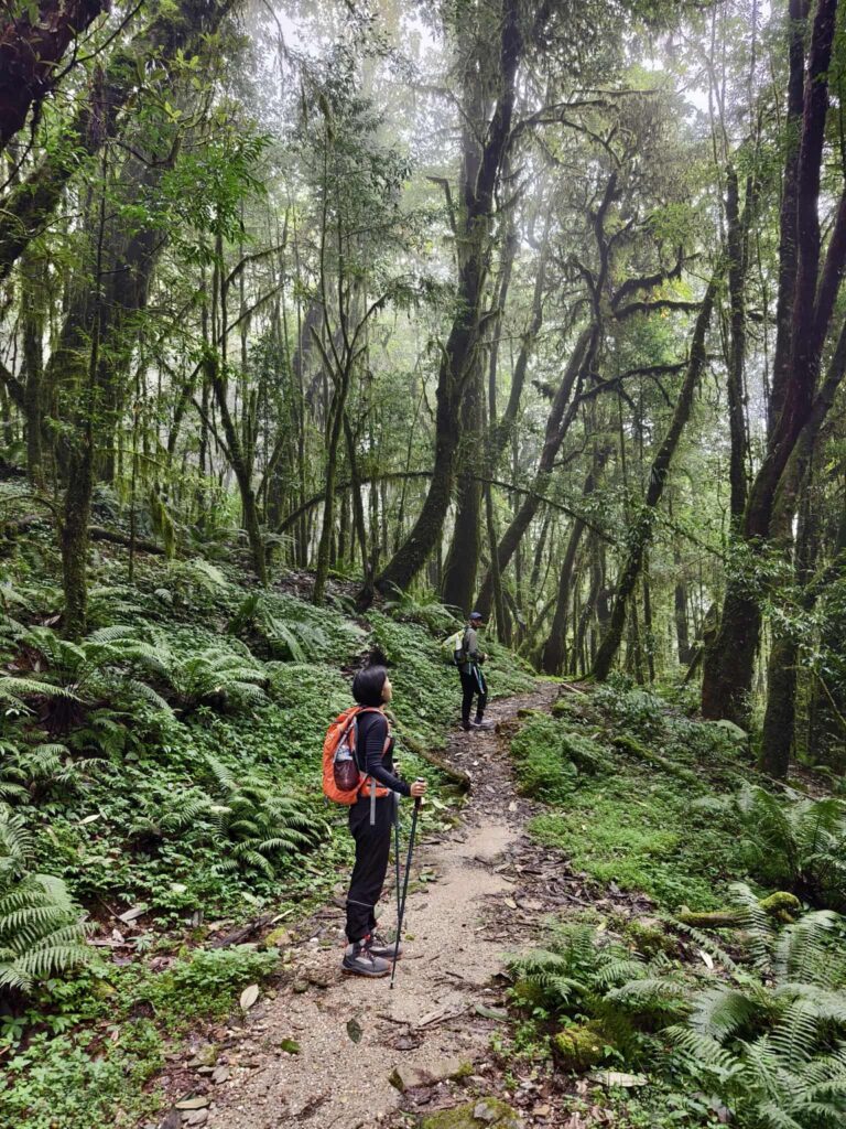 on the way to mardi himal trek