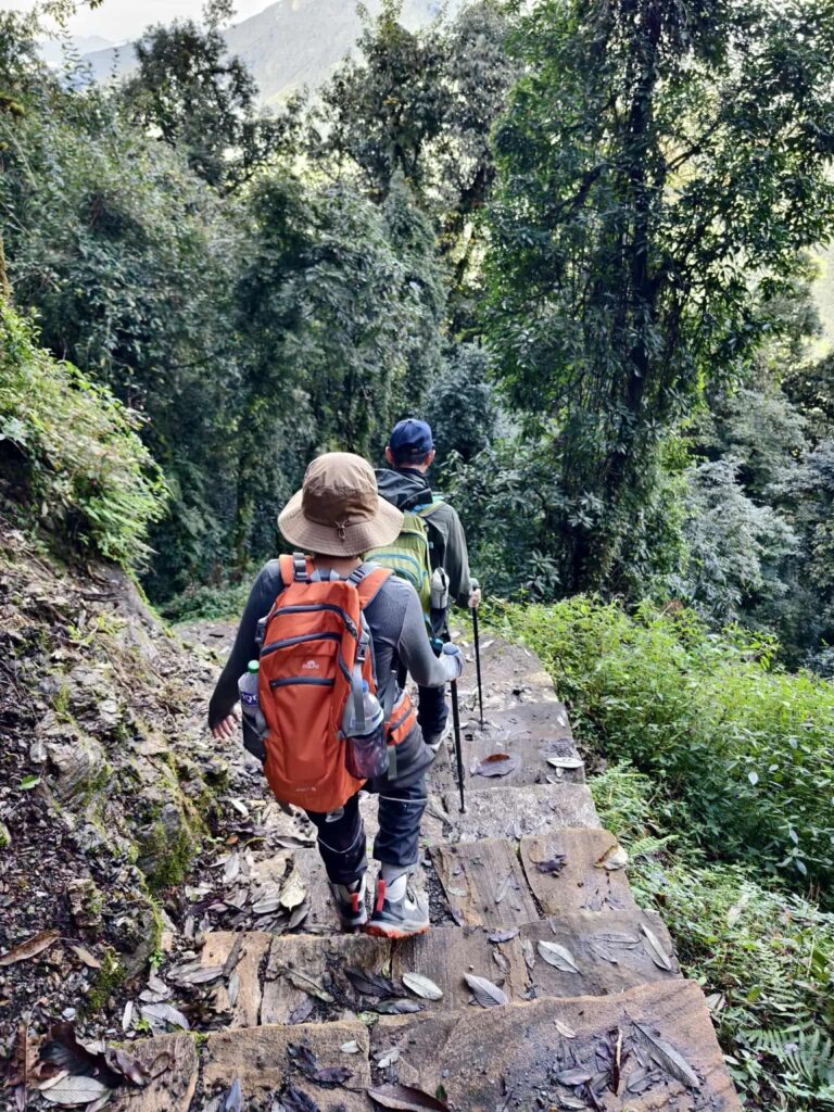 Mardi Himal Trek with Tolka through Landruk