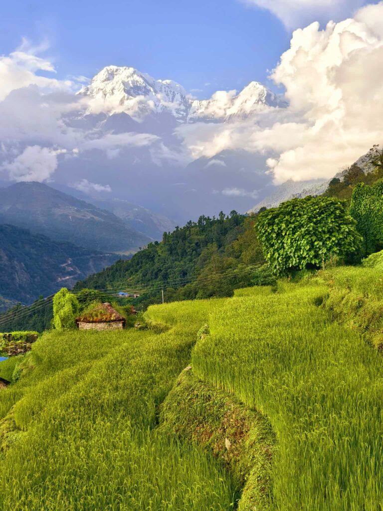 Mardi Himal Trek with Tolka through Landruk